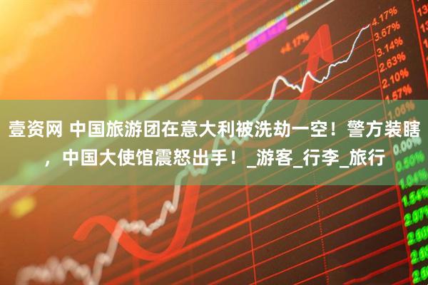 壹资网 中国旅游团在意大利被洗劫一空！警方装瞎，中国大使馆震怒出手！_游客_行李_旅行