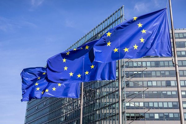 亿利金融 德国商界批评欧美贸易框架协议