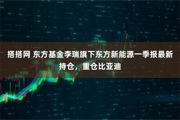 搭搭网 东方基金李瑞旗下东方新能源一季报最新持仓，重仓比亚迪